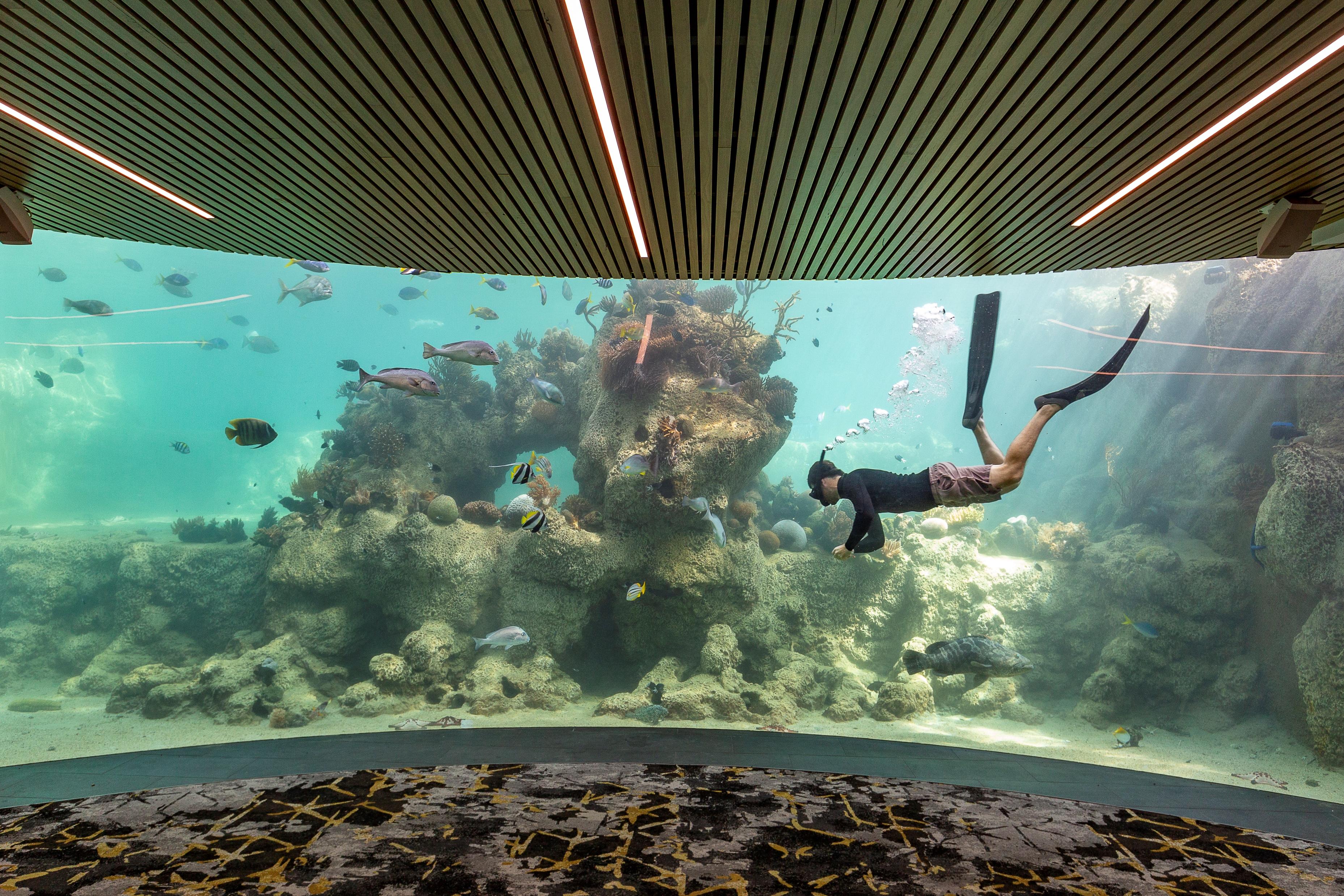 Daydream Island Resort Εξωτερικό φωτογραφία