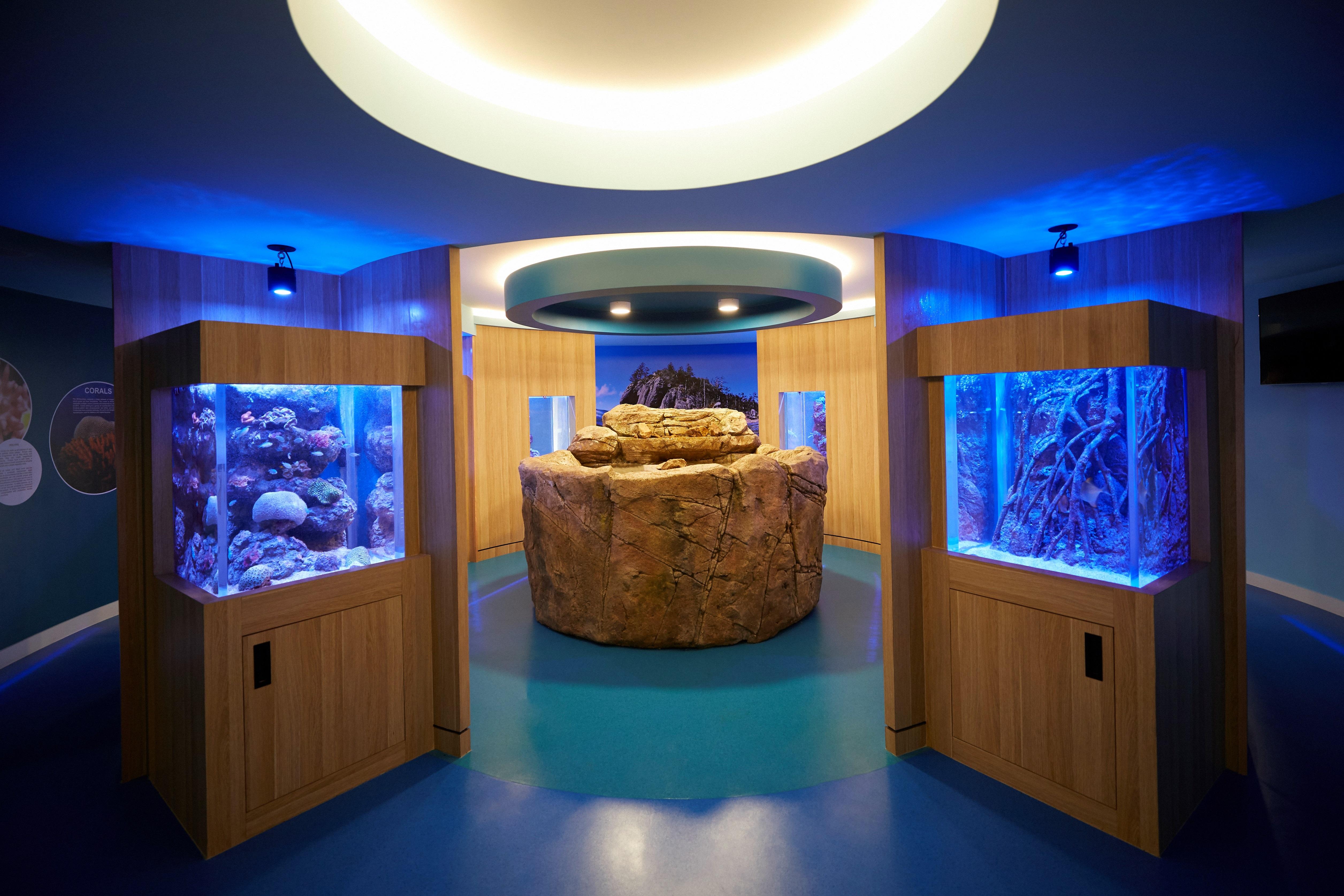 Daydream Island Resort Εξωτερικό φωτογραφία