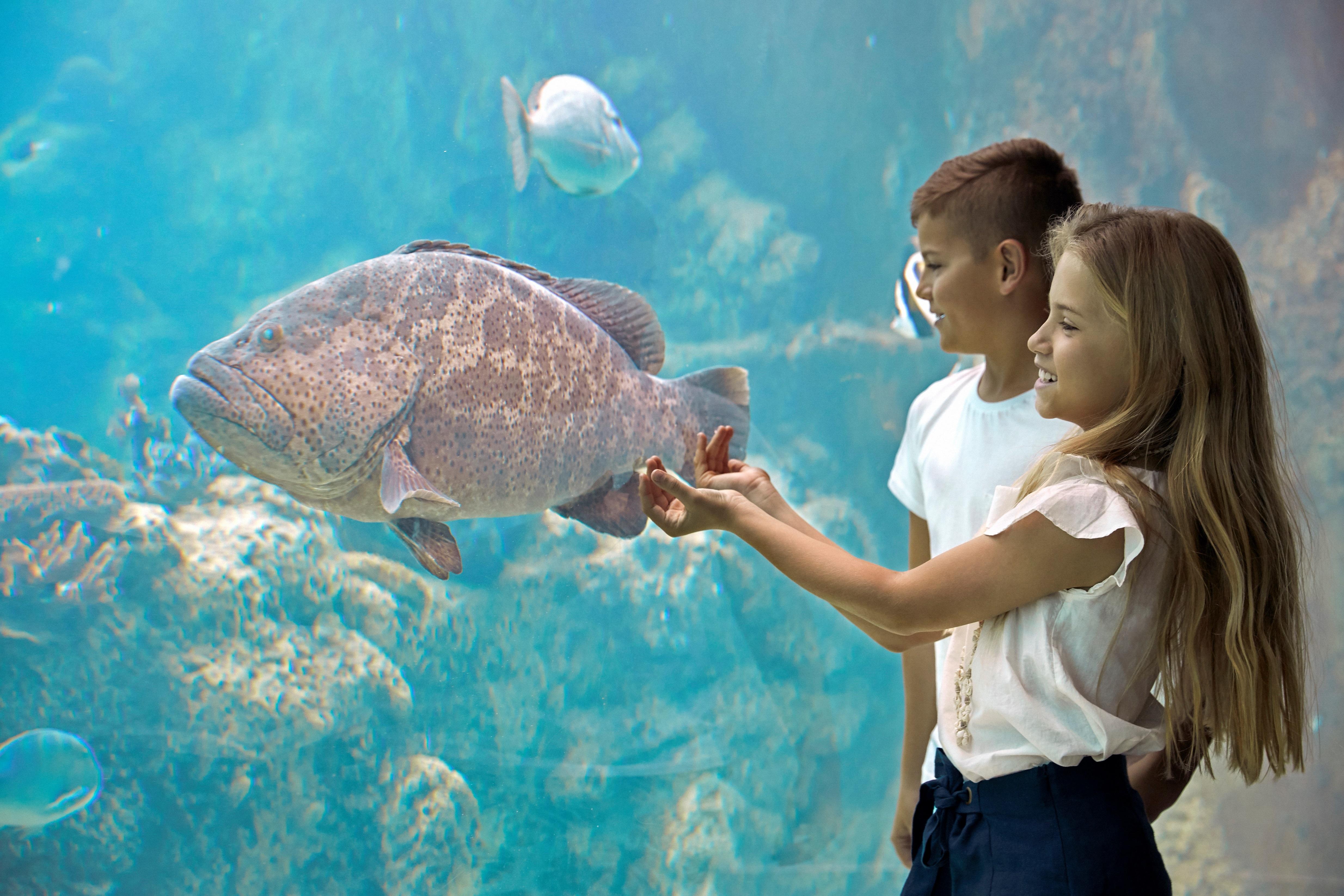 Daydream Island Resort Εξωτερικό φωτογραφία